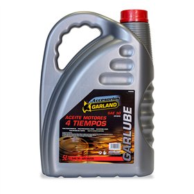 Motor oil Garland 5 L