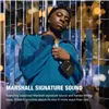Portable Bluetooth Speakers Marshall Willen II