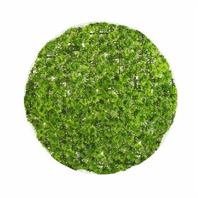 Decorative Plant Ball Moss 30 x 30 x 30 cm