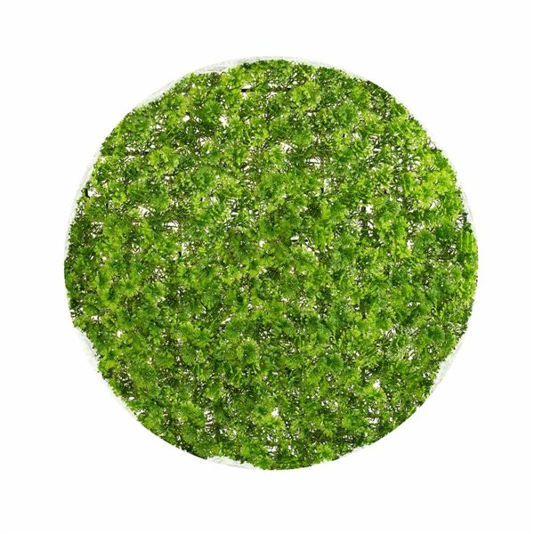 Decorative Plant Ball Moss 30 x 30 x 30 cm