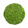 Decorative Plant Ball Moss 30 x 30 x 30 cm