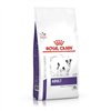 Fodder Royal Canin Small Dogs Adult Rice Birds 2 Kg