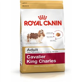 Fodder Royal Canin Cavalier King Charles Adult Chicken 1,5 Kg