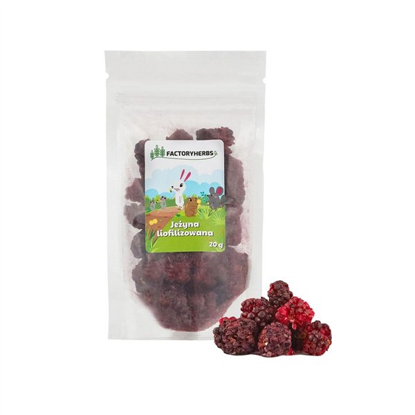 Rabbit Food Factoryherbs Freeze-dried blackberry Fruits Chichilla Guinea pig Hamster Rat Mouse Rodents Birds