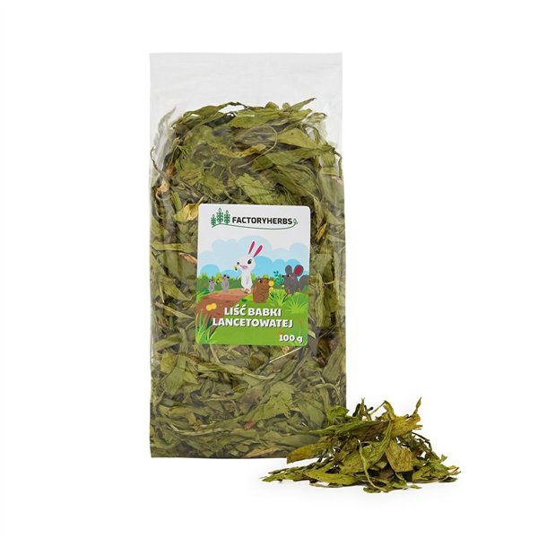 Fodder Factoryherbs Chichilla Guinea pig Hamster Rat Mouse Rodents Birds 100 g