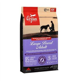 Fodder Orijen Chicken 11,4 Kg