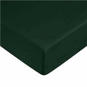 Fitted sheet Harry Potter Green