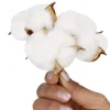 Artificial cotton Springos CA1215 12 pcs, Christmas decorations on wire