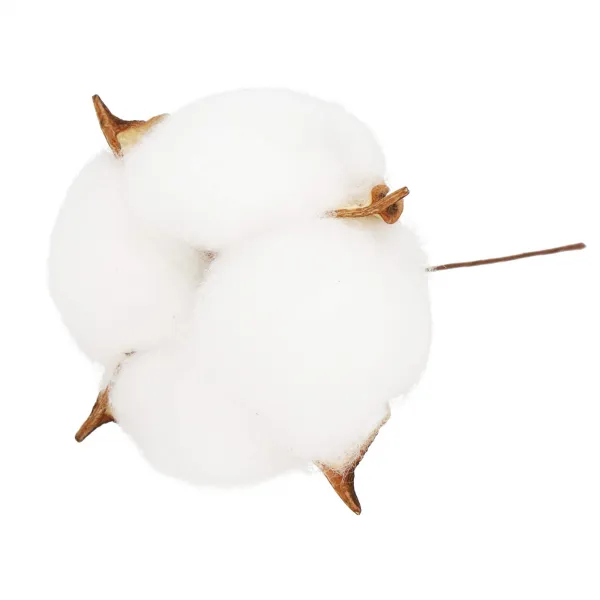 Artificial cotton Springos CA1215 12 pcs, Christmas decorations on wire