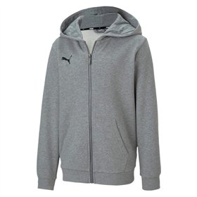 Hooded Sweatshirt for Girls Puma Teamgoal 23 Grey