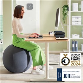 Projector Leitz [“Ergo Active”]