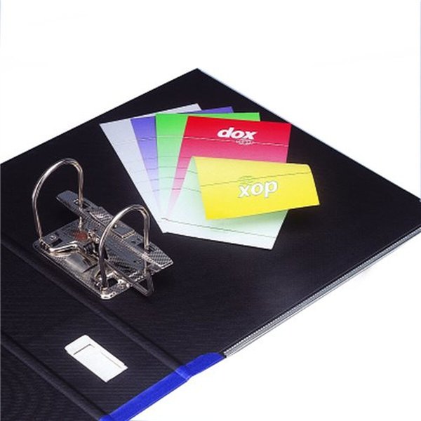 Refillable storage binder Rexel Dox 1 Blue A4