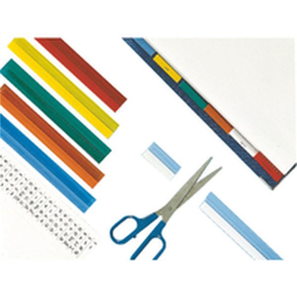 Folder Esselte Multicolour