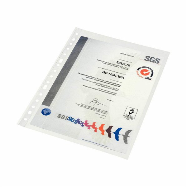 Covers Esselte Transparent A4 polypropylene