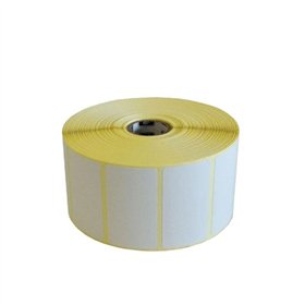 Glossy Photo Paper Zebra 3007205-T