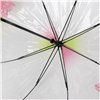 Bubble Umbrella Wicked Transparent