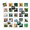 Educational Game Diset Memo Photo Animales 54 Pieces