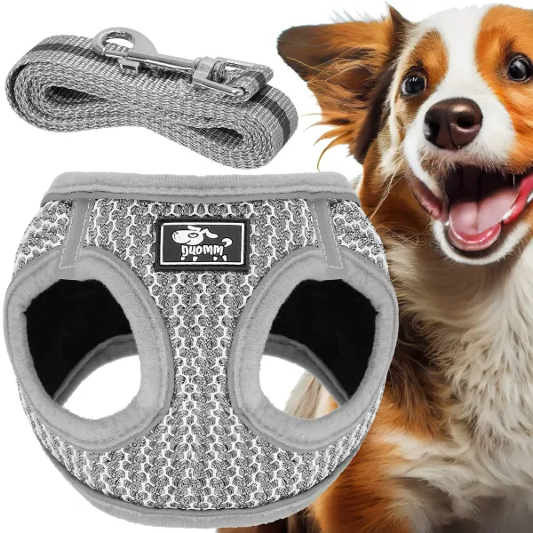 Pressure-free dog and cat harness set Springos PA0236, S 6-8 kg + 150 cm leash, grey