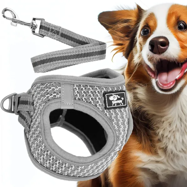 Pressure-free dog and cat harness set Springos PA0236, S 6-8 kg + 150 cm leash, grey