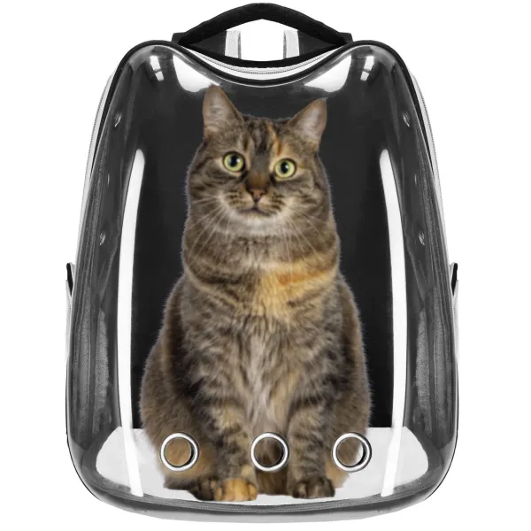 Pet carrier backpack for cats, rabbits, and dogs Springos PA0229, up to 12 kg, 40 x 34 x 21 cm, gray, transparent