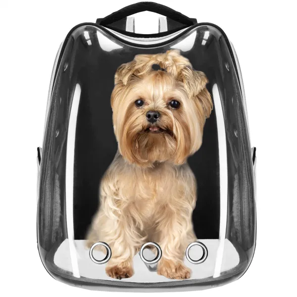 Pet carrier backpack for cats, rabbits, and dogs Springos PA0229, up to 12 kg, 40 x 34 x 21 cm, gray, transparent