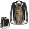 Pet carrier backpack for cats, rabbits, and dogs Springos PA0229, up to 12 kg, 40 x 34 x 21 cm, gray, transparent