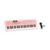 Educational Learning Piano Reig Pink Microphone