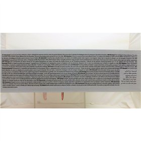 Educational Game Lisciani Giochi