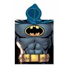 Figure Batman Hero