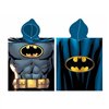 Figure Batman Hero