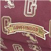 School Bag Harry Potter