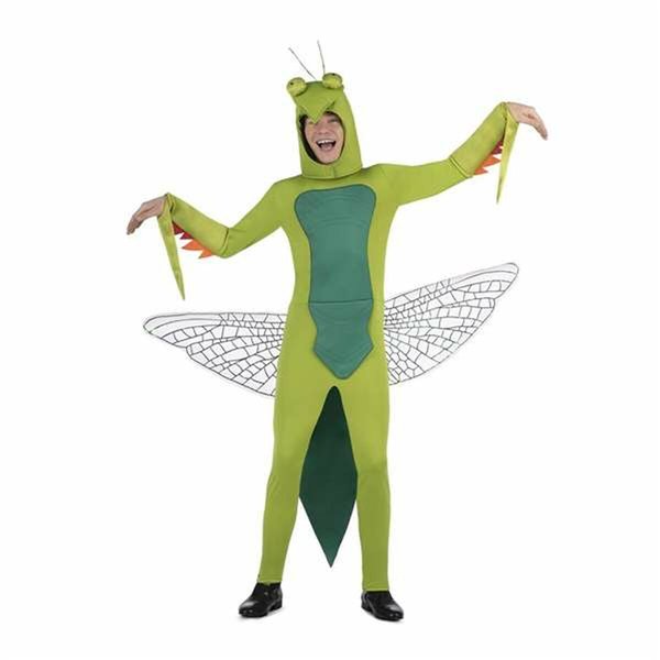 Costume for Adults My Other Me