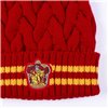 Child Hat Harry Potter Gryffindor Red