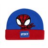 Hat Spidey