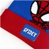 Hat Spidey