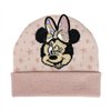 Hat Minnie Mouse