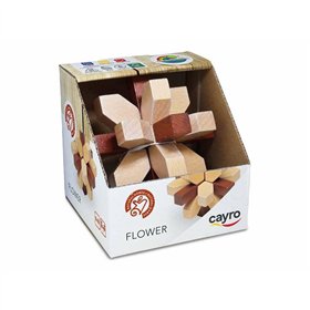 Puzzle Cayro