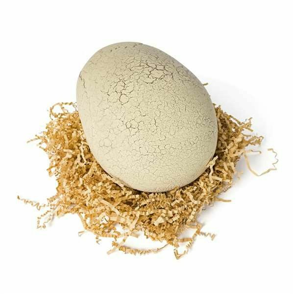 Dinosaur Jurassic World T-Rex